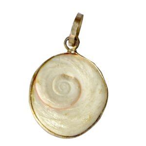 Gomati Chakra Pendant